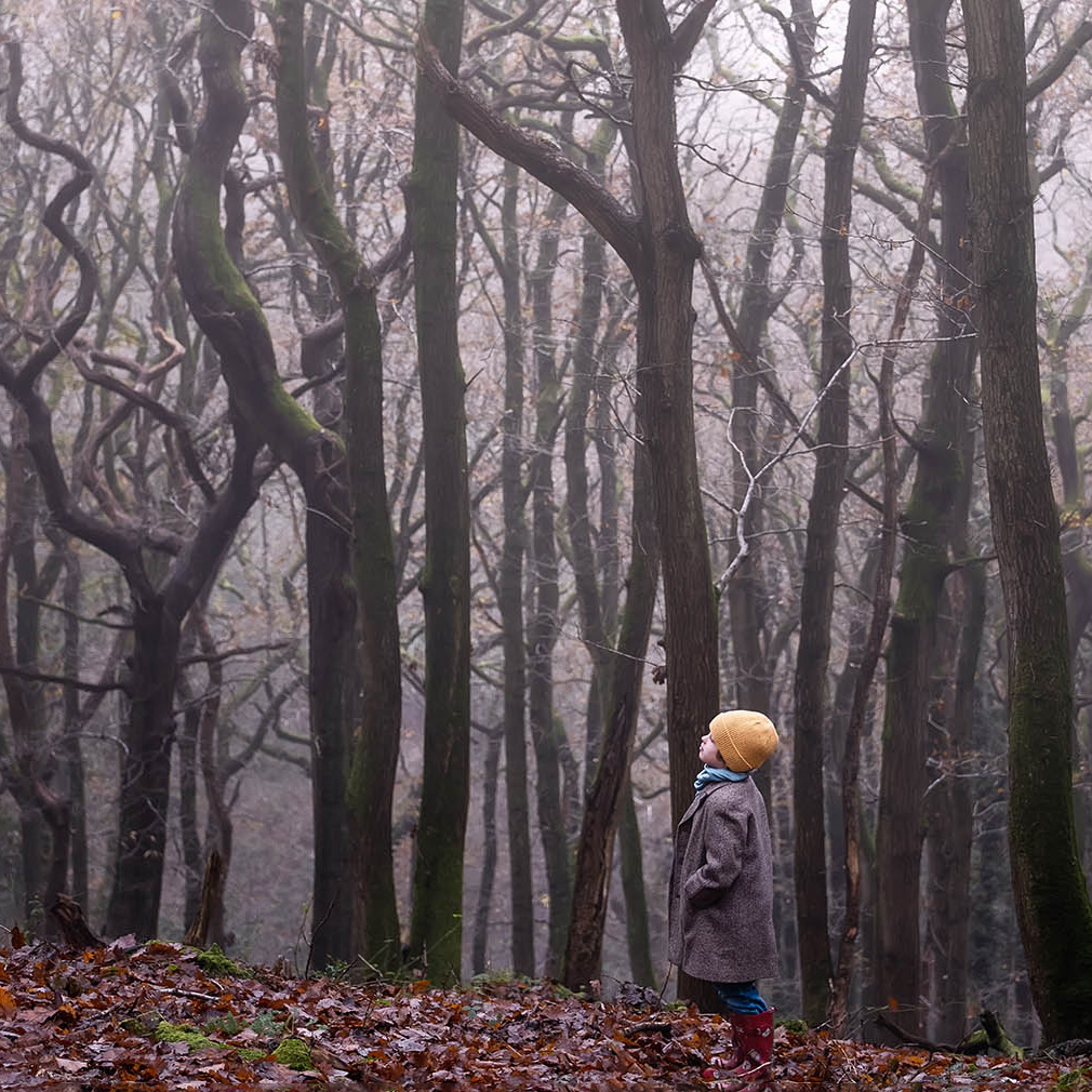 Child in woodland